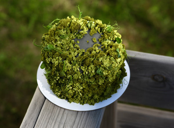 Mini moss cake