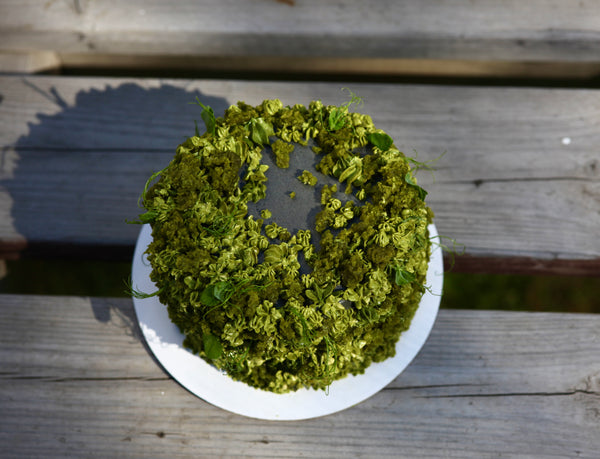 Mini moss cake